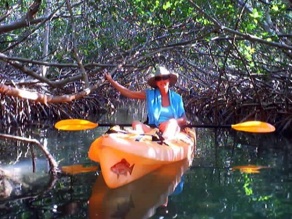 And this is the 'open' part!